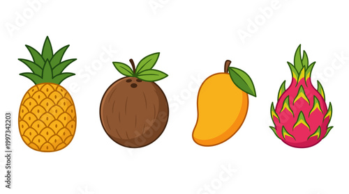 vector A vibrant selection of delicious tropical fruits includes a pineapple, coconut, mango, and dragon fruit.