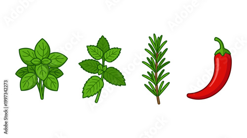 vector Four distinct herbs and a red chili pepper are isolated on a clean white background.