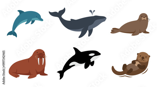 vector A collection of various stylized marine mammals isolated on a clean white background.