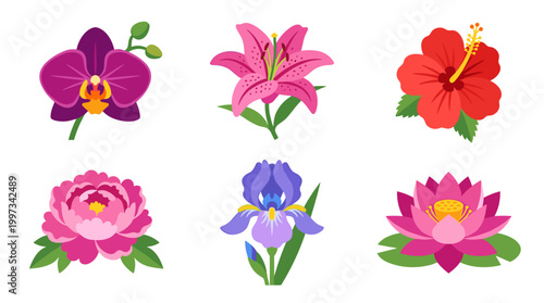 vector A beautiful set of six vibrant flowers showcasing diverse species and colors on white.