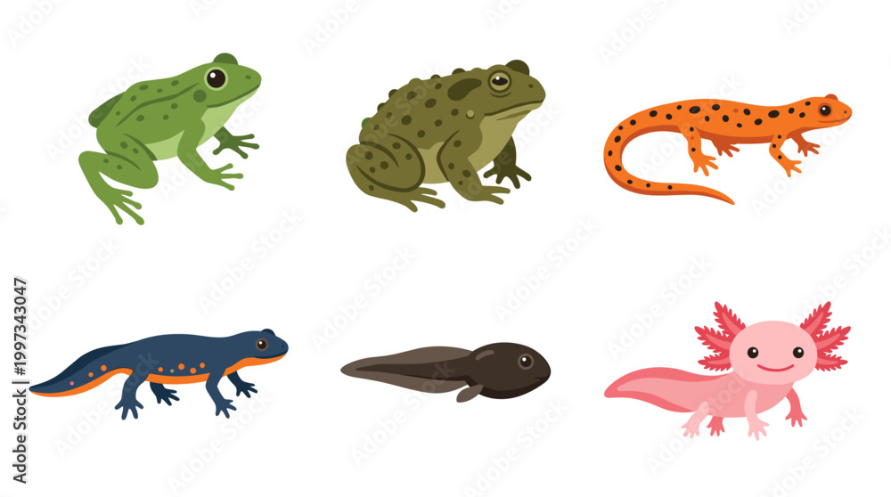Obraz premium vector A variety of amphibians and aquatic creatures like frogs, newts, and axolotls are illustrated.