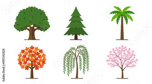vector Six different types of trees are illustrated in a two-by-three grid on a white background.