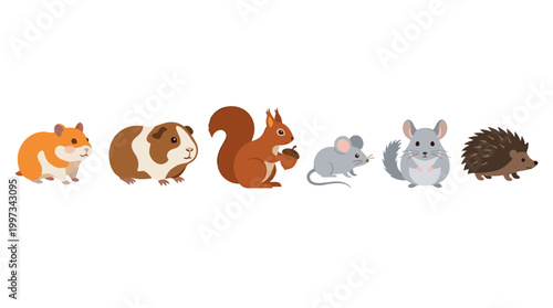 vector A colorful collection of tiny animals including a hamster, guinea pig, and hedgehog are presented.