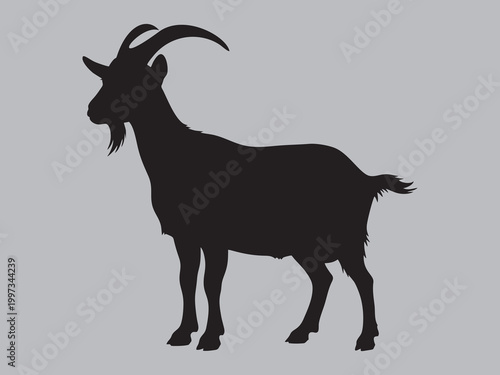 Male goat or billy goat silhouette with horns
