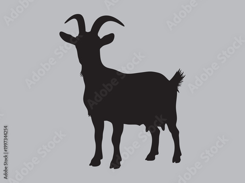 Male goat or billy goat silhouette with horns