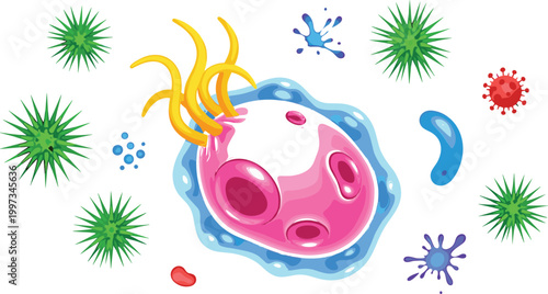 Cartoon cell with bacteria and viruses illustration showing microbiology, infection process, immune response, and healthcare science concept vector illustration
