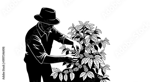 Man tending to a plant garden.