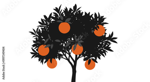 Oranges on a tree branch.