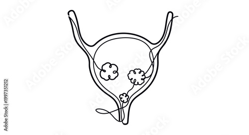 The intricate continuous line art illustration depicts the complex anatomy of the urinary bladder, showcasing its internal structures with delicate precision and artistic flair