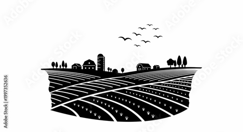 Rows of a cultivated farm field.