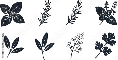 Collection of eight dark grey silhouette of culinary herbs on a white background, basil rosemary mint