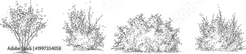 Architectural shrubs bushes vector set elevation views for landscape design drawings