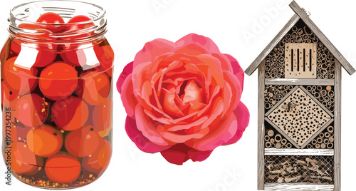 Pickled tomatoes in jar, blooming rose flower, and wooden insect hotel illustrating gardening, preservation, natural beauty, and eco friendly backyard elements vector illustration