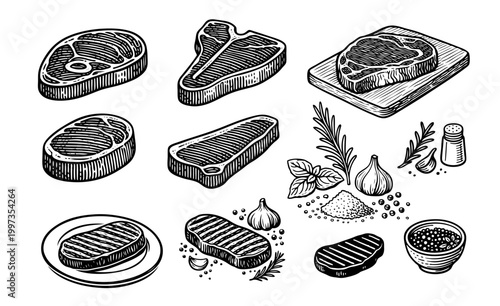 Selection of Hand Drawn Beef Steaks and Raw Meat Cuts With Aromatic Herbs and Essential Spices for Culinary Preparation and Delicious Home Cooked Meals