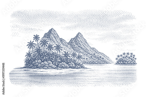 Vintage engraving of a tropical island paradise with lush palm trees and volcanic mountains. Woodcut engraving illustration.