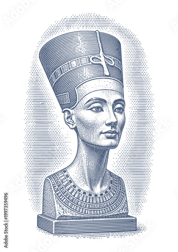 Iconic bust of Queen Nefertiti in a detailed engraving style. Woodcut engraving illustration.
