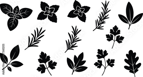 Collection of black silhouette of various herbs and leaves on a white background, leaf basil rosemary