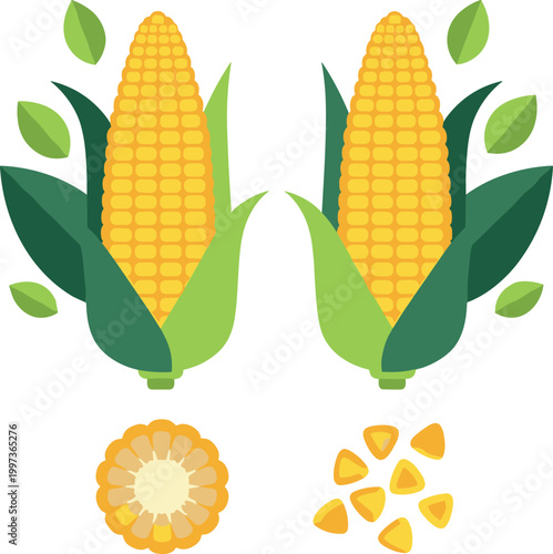 
Yellow Sweet Corn Cobs, Sliced Cross Section, and Loose Kernels with Green Leaves for Healthy Food and Farming Designs