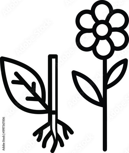 Stylized Flower Growth and Root System Icon