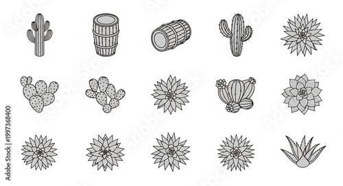 Collection of hand drawn desert plants and cacti illustrations.