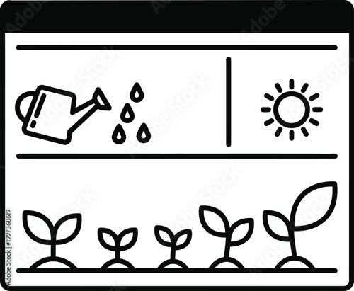 Seedling Growth Stages: Watering, Sunlight, and Sprout Development