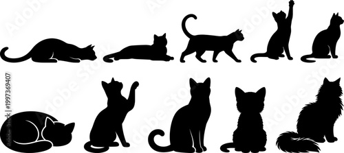 Black cat silhouette set, feline poses illustration of  sitting walking sleeping vector isolated