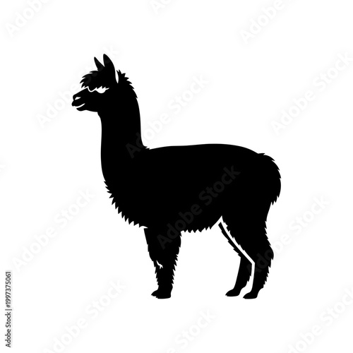 Silhouette of a majestic alpaca standing proudly against a white backdrop.