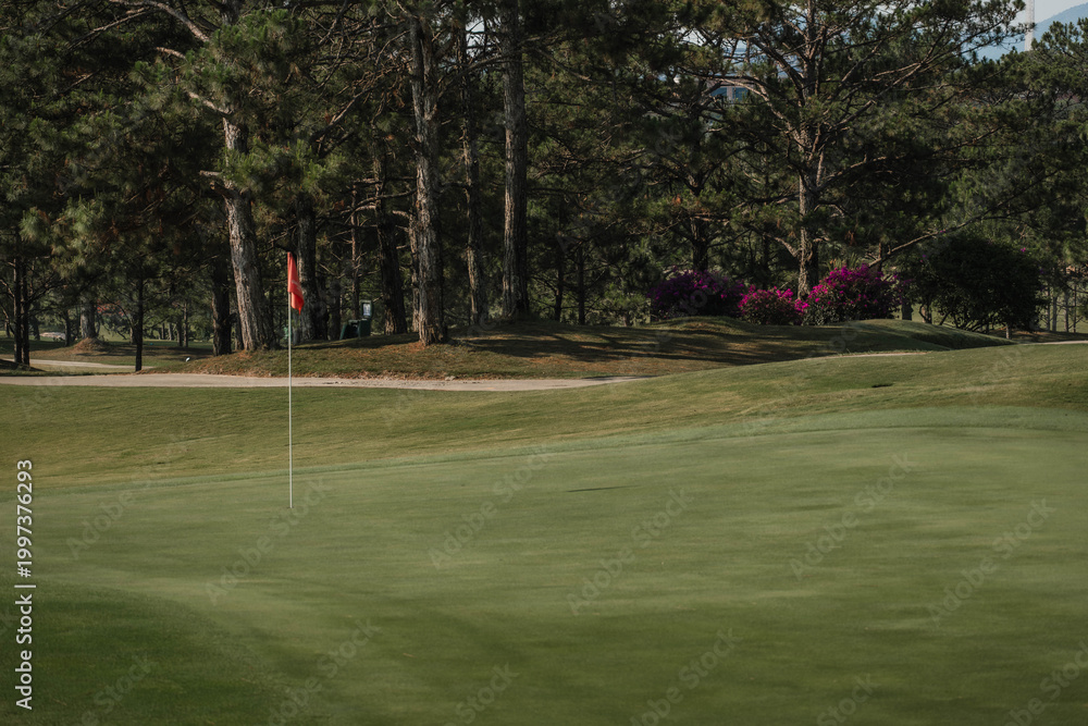 Fototapeta premium Golf Links with Evergreen Woods