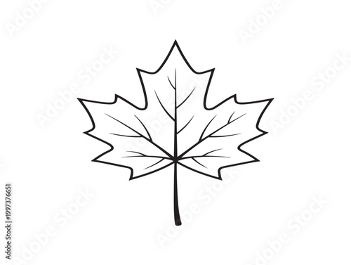 Simple black and white line drawing of a maple leaf on a white background