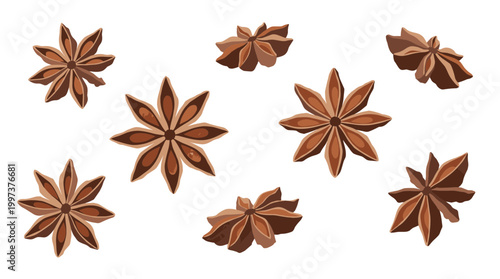 Aromatic star anise spice pods scattered on a white background, perfect for culinary and medicinal uses, adding flavor and fragrance to dishes and remedies.