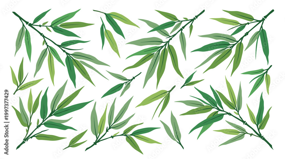 Fototapeta premium Green bamboo leaves pattern on white background