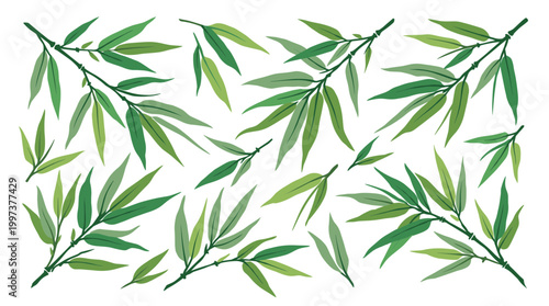 Green bamboo leaves pattern on white background