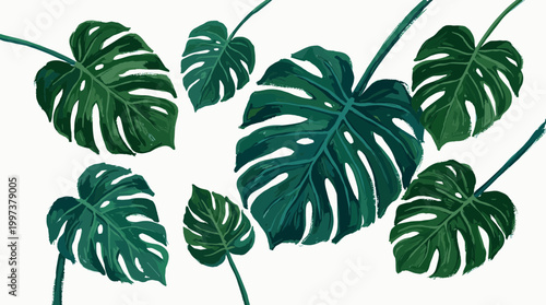 Vibrant green monstera leaves with intricate patterns and natural textures, creating a lush tropical botanical backdrop for design and decor