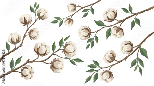 Delicate cotton branches with fluffy white bolls and green leaves on a clean white background, natural botanical illustration for design and decor