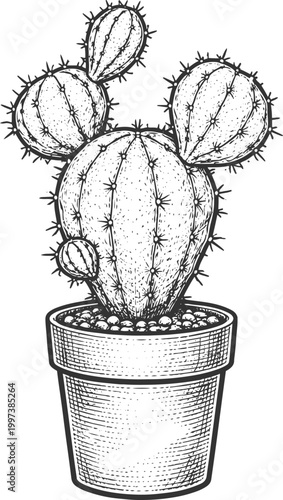 Prickly Pear Cactus in Terracotta Pot Engraving Illustration