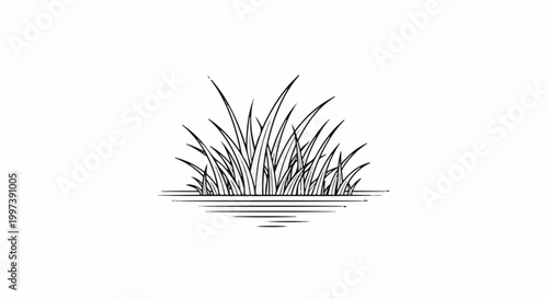 Black and white sketch of tall grass blades emerging from water