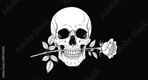 Detailed black and white hand drawn illustration of a realistic human skull holding a long stemmed rose in its teeth.