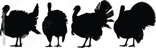 Group of four black turkey silhouettes captured in different poses for holiday season graphic designs