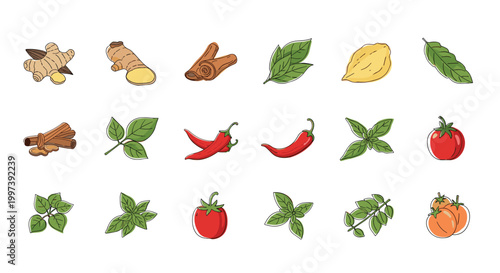 Illustration of various culinary ingredients including ginger, garlic, chili peppers, tomatoes, and fresh herbs for food designs.