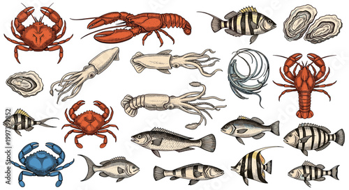 Detailed vintage style illustrations of various seafood including crabs, lobsters, fish, squid, and oysters for restaurant menu.