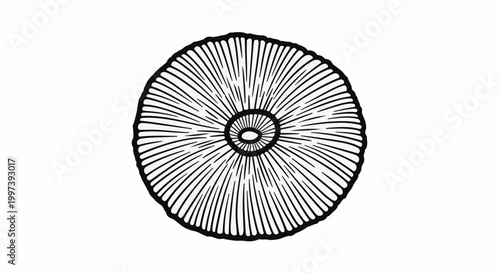 Abstract linework radial pattern with a central circle and radiating lines