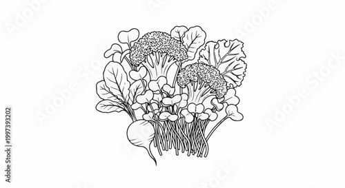 Black and white sketch of fresh broccoli, radishes, and greens