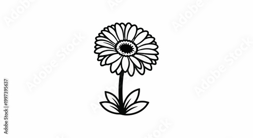 Black and white line drawing of a single daisy with leaves