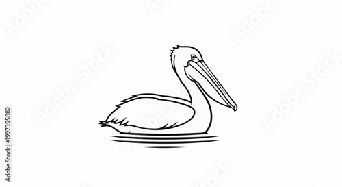 Black and white line art of a pelican floating on water with ripples