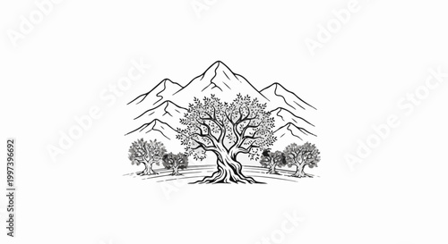 Ancient olive trees stand before a majestic mountain range in a sketch