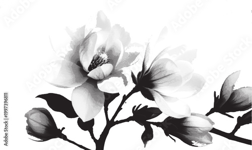 cyanotype plum blossom botanical background. Stipple dot overlay texture with flower and twig silhouette. Delicate indigo blue nature banner for template and graphic design 