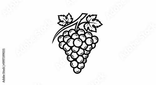 Black and white line art of a bunch of grapes on a vine with leaves