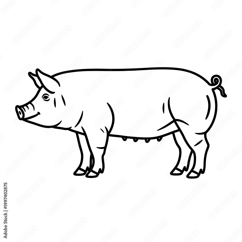 Fototapeta premium Detailed outline of a domestic pig, showcasing its features and form in a side view.
