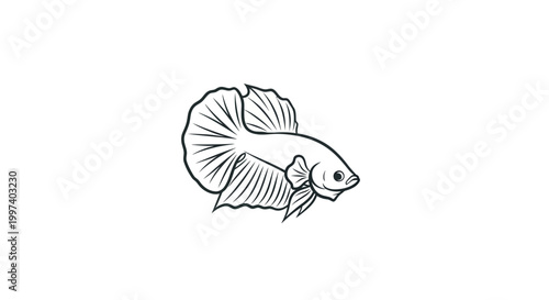Elegant Betta Fish Illustration