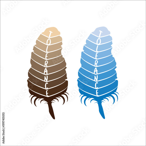 A set of two decorative feathers with the inscription 'Tolerance', made with a gradient. Concept of acceptance, peace, diversity, kindness, and harmony.